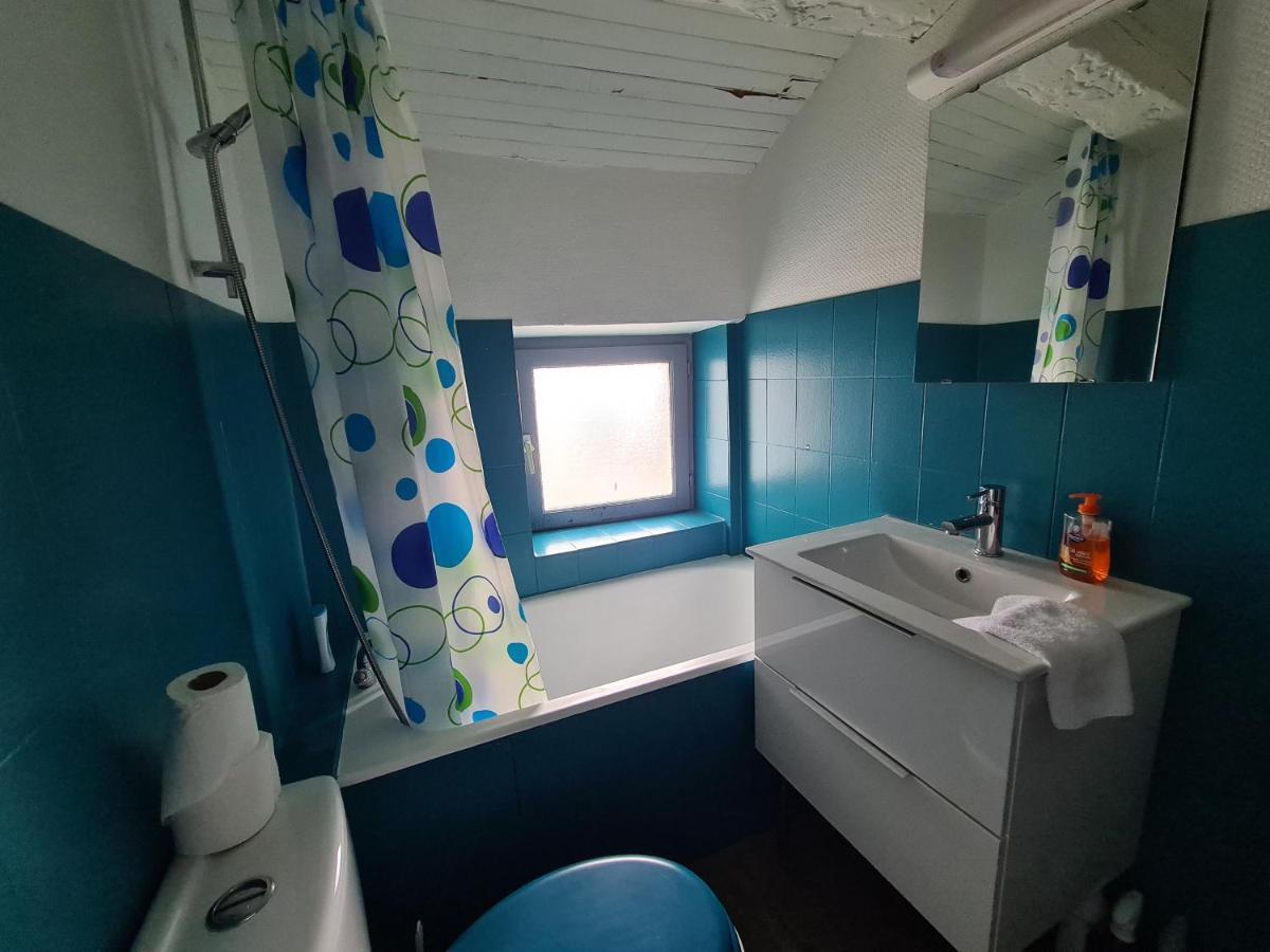 Ferienwohnung Les Cosy De Nancy - Le Duplex Aux Flammants Roses - 4Etoiles Exterior foto